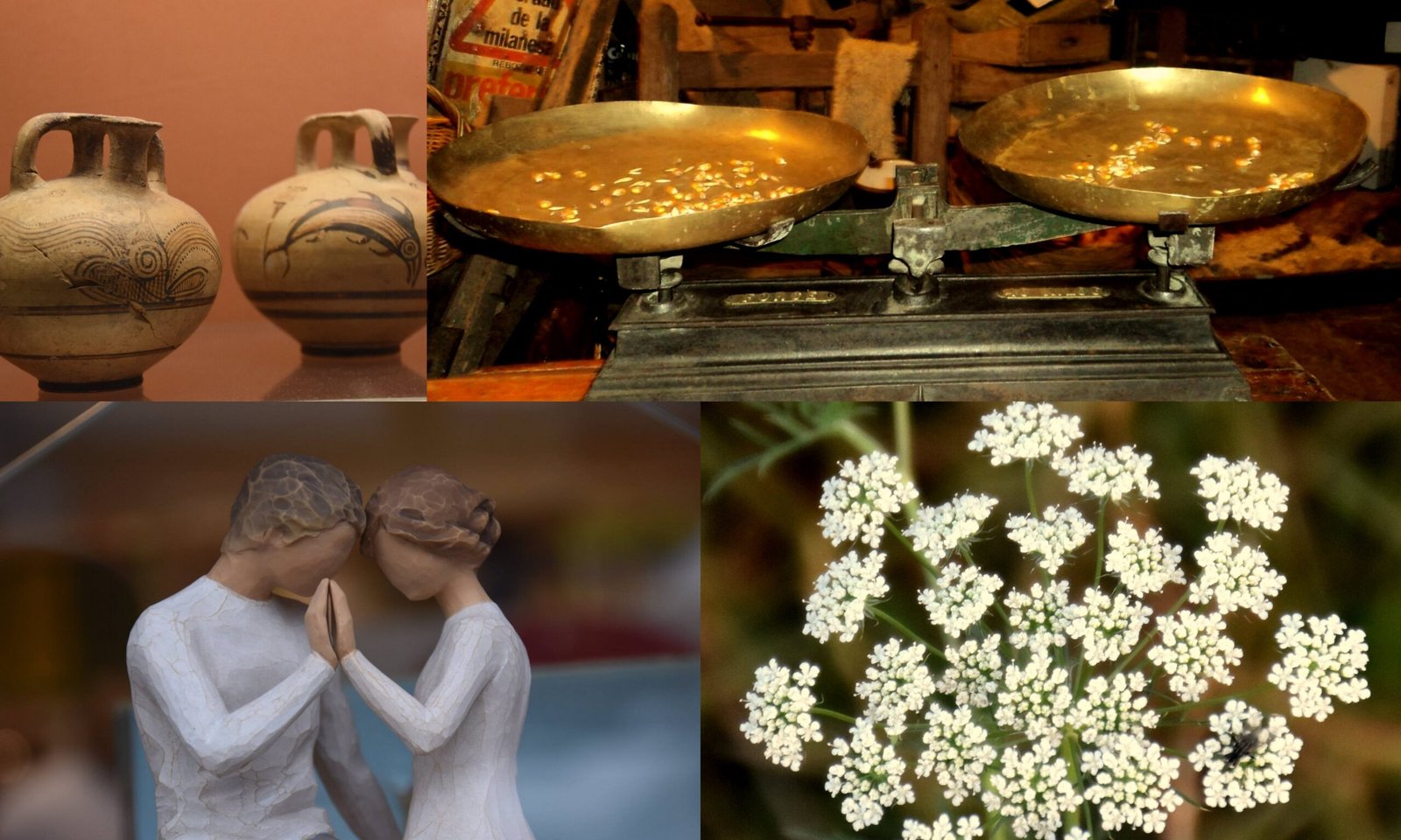 Fitoterapia: La Salud en nuestras manos.02