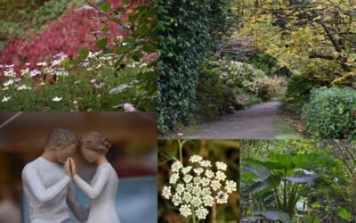 Fitoterapia Conocimientos y Experiencias. El Propósito 03.