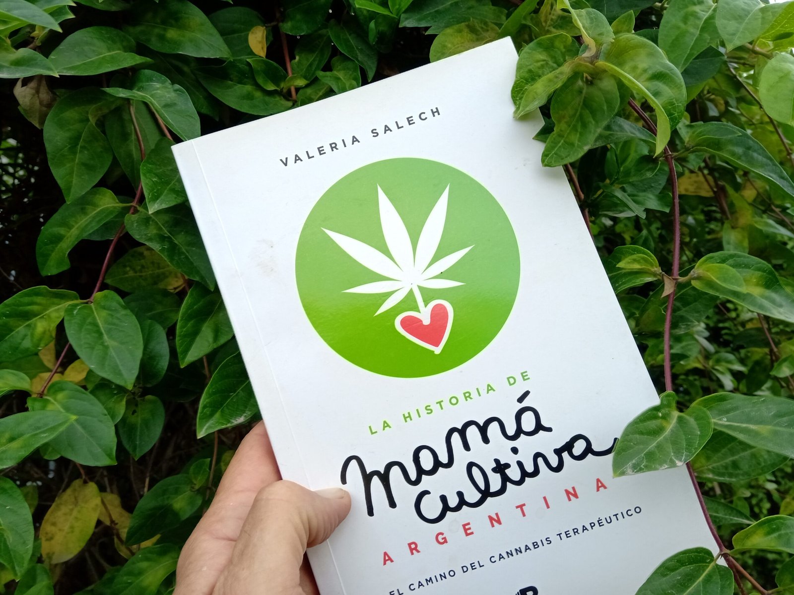 Cannabis medicinal- Mamá Cultiva
